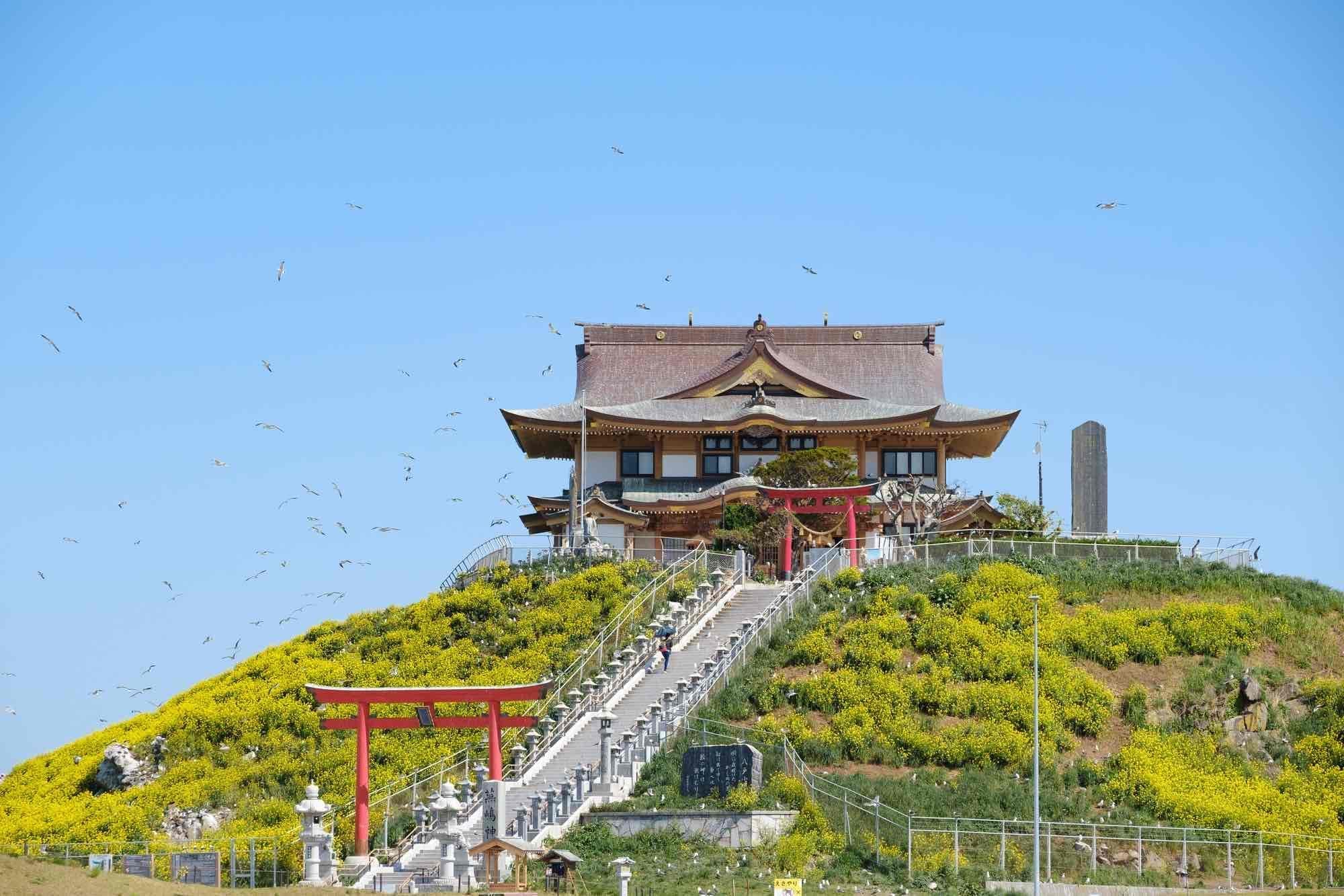八戸市蕪島、甲状腺・乳腺のクリニック八戸